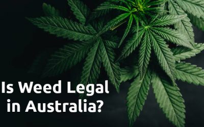 Legality of Weed in Australia